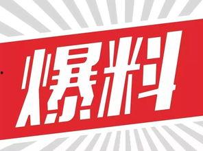 每日爆料最新资源分享,揭秘最新资源分享盛宴