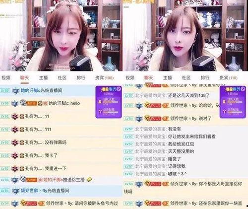爆料百万主播视频大全最新,精彩瞬间尽收眼底